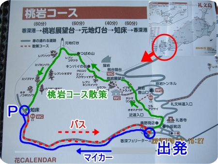 １桃岩コース地図