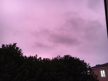 紫の夕暮れ (1)