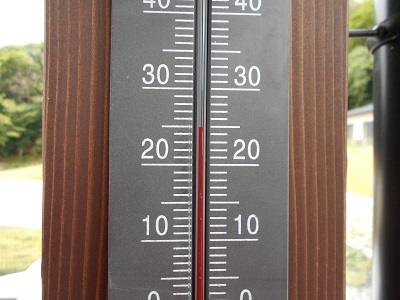今日の気温　２５℃