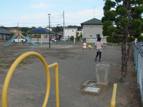 広い公園の一角に遊具があります。