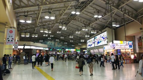 そして恒例、宇都宮線の上野始発を選んで余裕で座席を確保、うつらうつらと久喜駅へと帰っていきました。