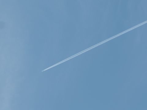 こちらは無関係の飛行機雲。