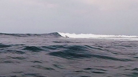 沖縄SUP STARBOARD SURF PRO7'5