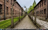 4_Auschwitz Birkenau8s