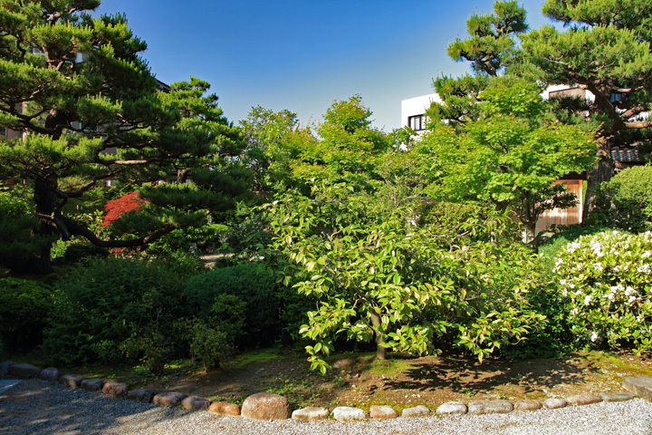180524_Takadake-Garden.jpg