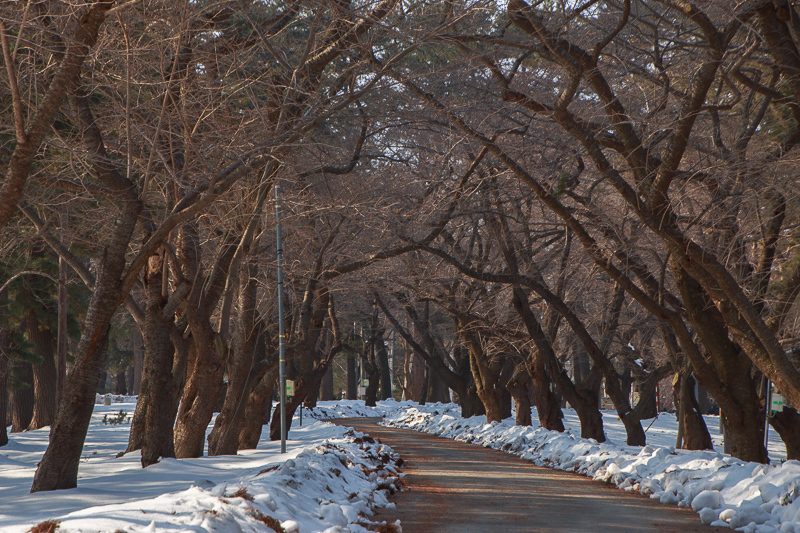 雪解けの芦野公園 青森の風景 文化風土記