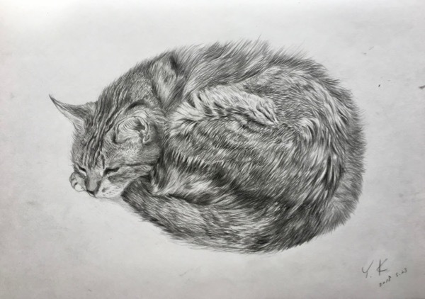 くろひげ屋ニャンズと猫の鉛筆画 鉛筆画 自分にしか描けないものを目指す。