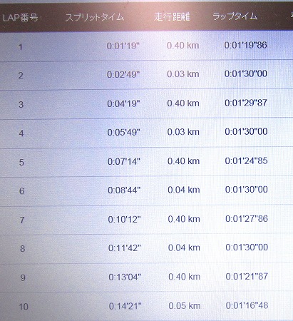 0516マラソン記録3