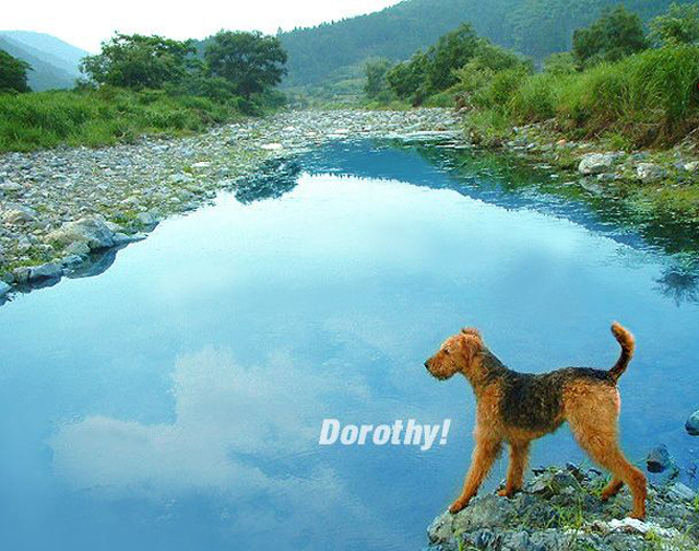 dorothy