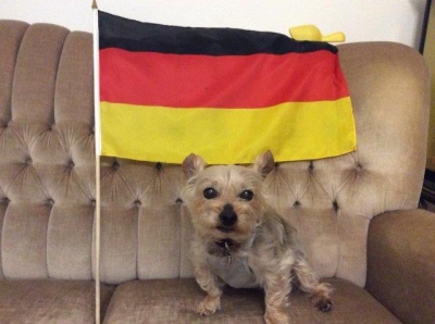 おドイツの中型の国旗