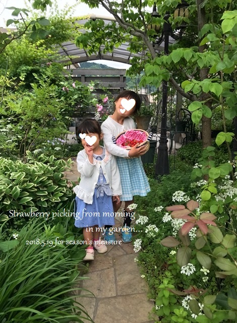 2018_5_19-Garden-5070n.jpg