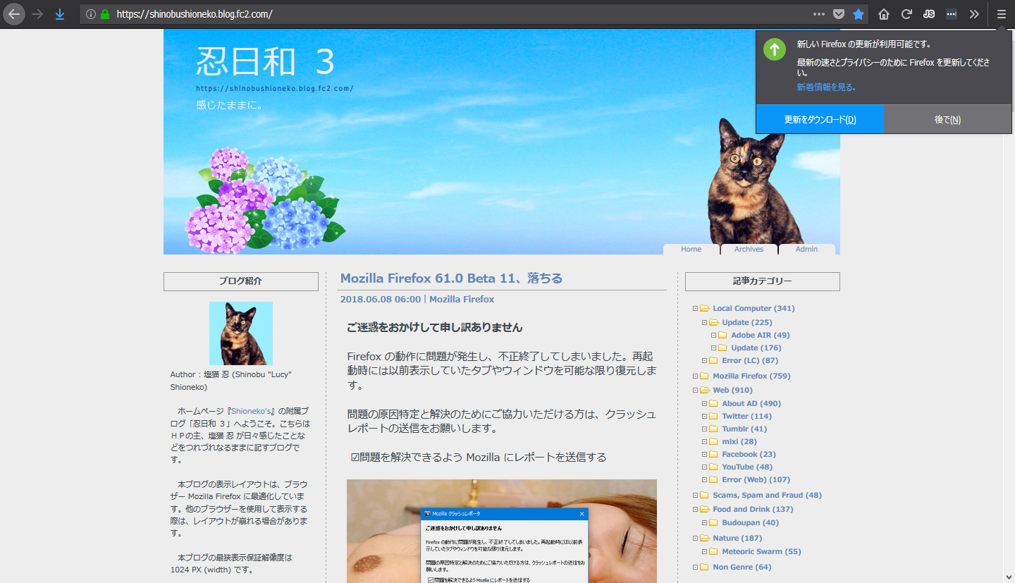 Mozilla Firefox 61.0 Beta 12