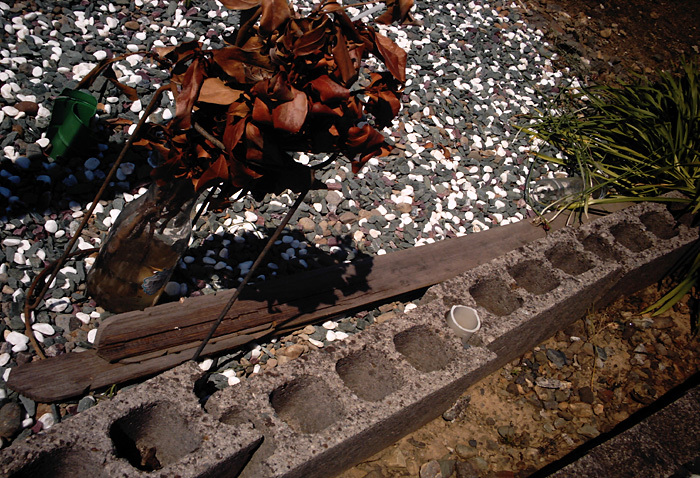 墓地の花も枯れる夏